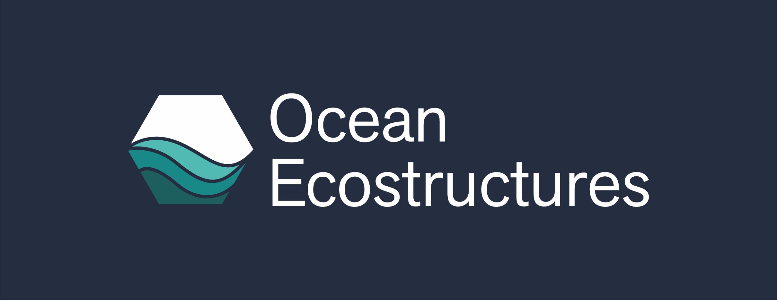 Formatos Logo Ocean Ecostructures